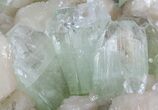 Zoned Apophyllite Crystals on Stilbite Association - India #44448-2